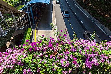 《自杀小队：战胜正义联盟》和《哥谭骑士》不一样 内部反应积极